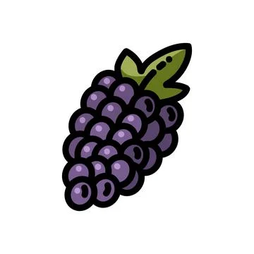 Grapes flat outlined icon. Vector fruit logo isolated on white background. Ve Stock Illustration
