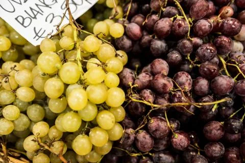 Grapes in Florence Stock Photos