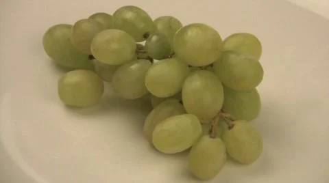 Grapes Video stock 7751644