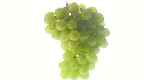 Grapes Stock Footage 11309685