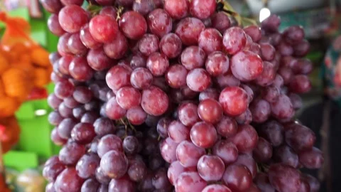 Grapes Stock Footage 102818471
