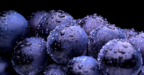 Grapes Stock Footage 128356029