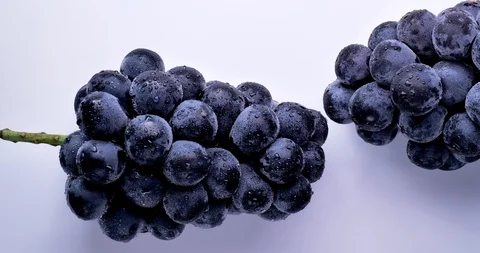 Grapes Video stock 129495126