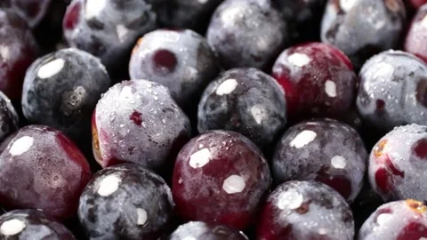Grapes Stock Footage 203923331