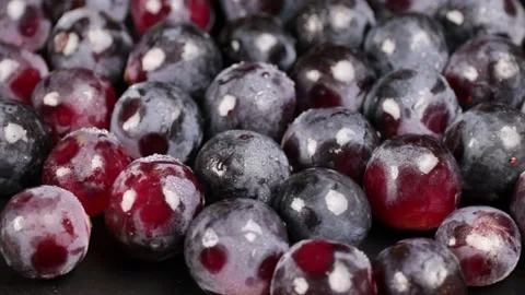 Grapes Stock Footage 203923339