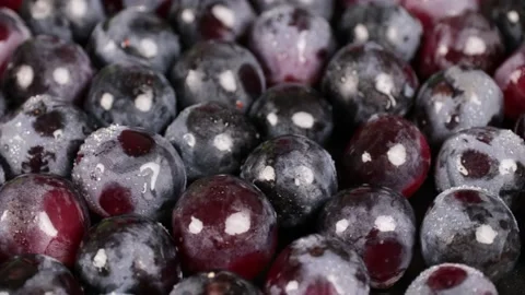 Grapes Stock Footage 203923342