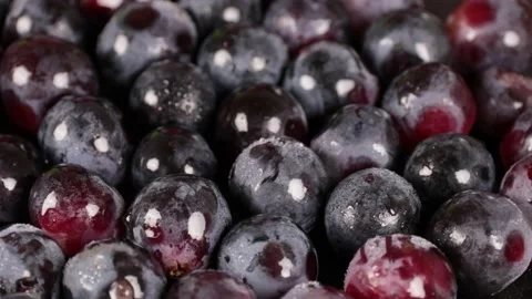 Grapes Stock Footage 203923343
