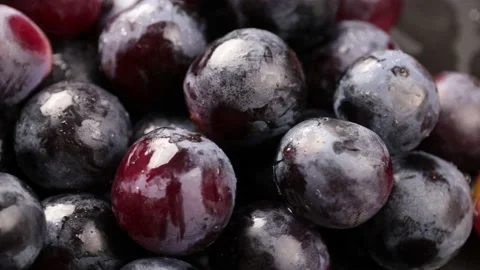 Grapes Stock Footage 203923353