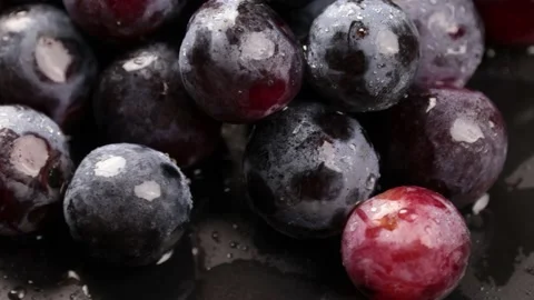 Grapes Stock Footage 203923357