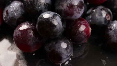 Grapes Stock Footage 203923361