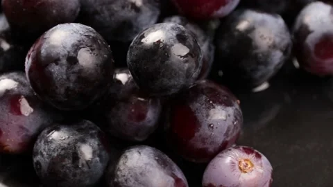 Grapes Stock Footage 203923384