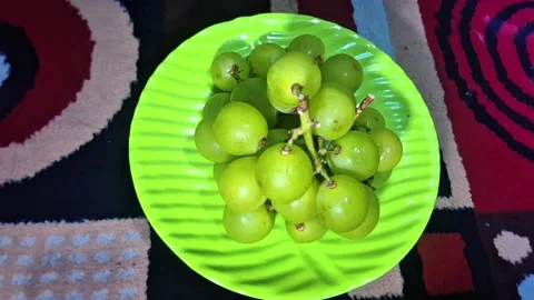 Grapes Stock Footage 287194054