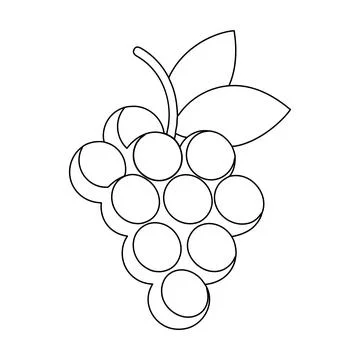 Grapes Fruit Bunch Outline Vector Illustration Fresh Vineyard Coloring Page.. Stock Illustration