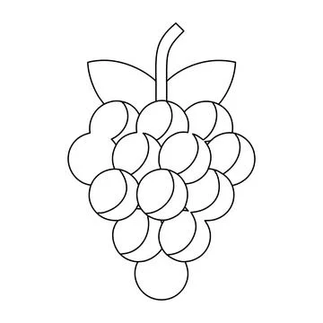 Grapes Fruit Bunch Outline Vector Illustration Fresh Vineyard Coloring Page.. Stock Illustration