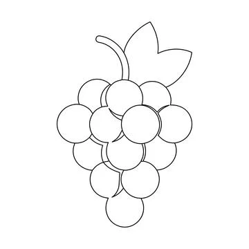 Grapes Fruit Bunch Outline Vector Illustration Fresh Vineyard Coloring Page.. Stock Illustration