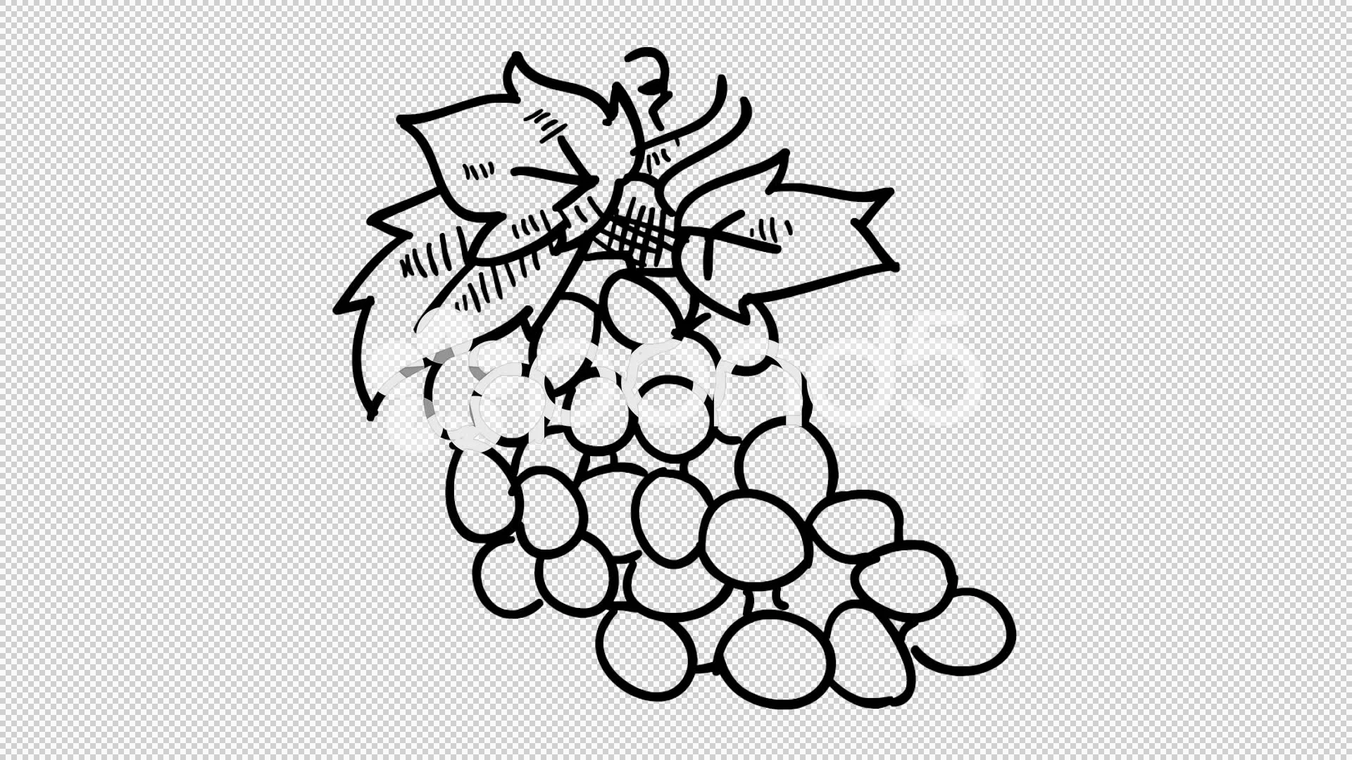 Purple grapes illustration, Grape Drawing Cartoon Fruit, Purple cartoon  grapes, watercolor Painting, cartoon Character, food png | PNGWing