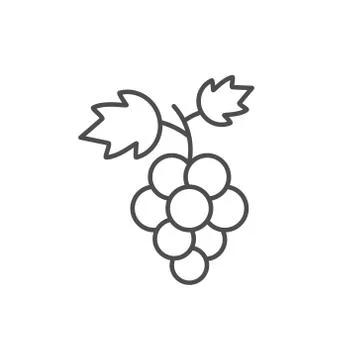 Grapes fruit icon vector illustration isolated Stock Illustration