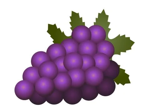 Grapes fruit isolated on white background Stock Illustration