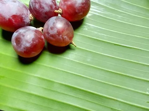 Grapes fruit Foto stock