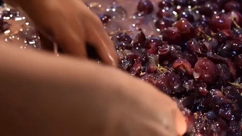 Grapes fruits home wine processing thorough crushing of fruit with bare hands Stock Footage 99381794