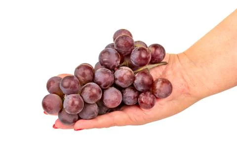 Grapes in hand Stock Photos