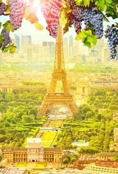 Grapes hanging in Paris 스톡 사진