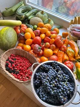 Grapes harvested from the plot Stock Photos