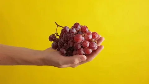 Grapes Held in Hand Video stock 95210361