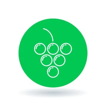 Grapes icon Stock Illustration