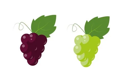 Grapes icon set, red and white. Different grape vine types. Wine logo art Stock Illustration
