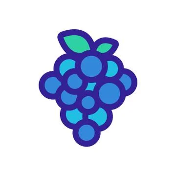Grapes icon vector. Isolated contour symbol illustration 스톡 일러스트