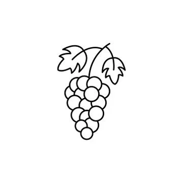 Grapes icon vector isolated illustration Stock Illustration