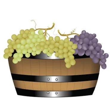 Grapes Stock Illustration