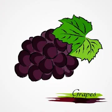 Grapes Stock Illustration