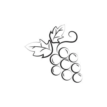 Grapes Stock-Illustration