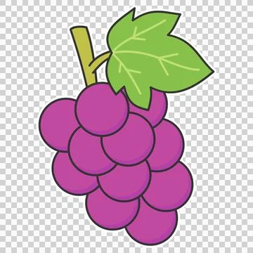Grapes Stock Illustration