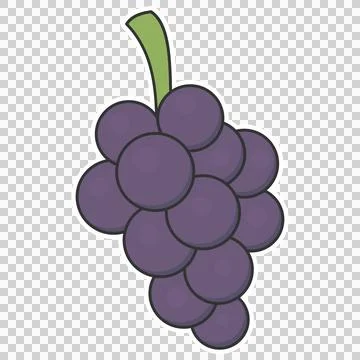 Grapes Stock Illustration