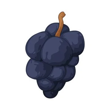 Grapes illustration Stock Illustration