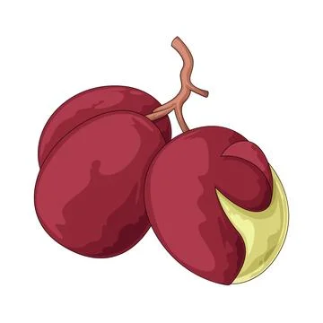 Grapes illustration Stock Illustration