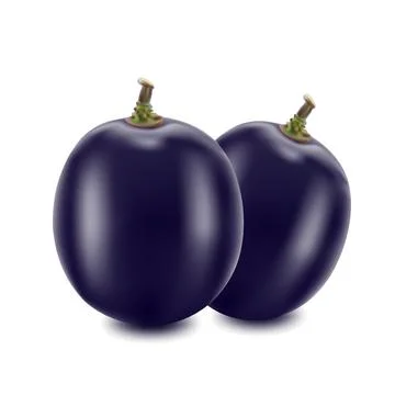 Grapes isolated on over white background Stock Illustration