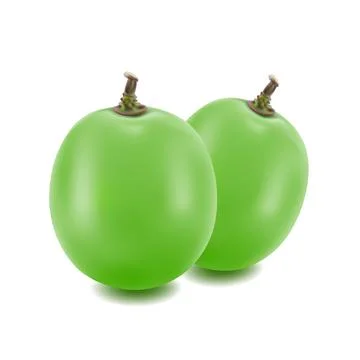 Grapes isolated on over white background Stock Illustration