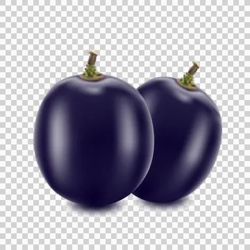 Grapes isolated on over white background Stock Illustration
