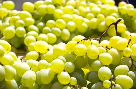 Grapes isolated Stock Photos