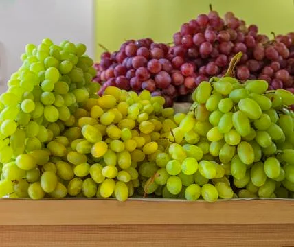 Grapes Isolated. Foto stock