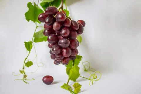 Grapes isolated on white background. Bunch of grape with green leaves isolated Stock Photos