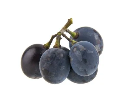 Grapes isolated on white background Stock Photos