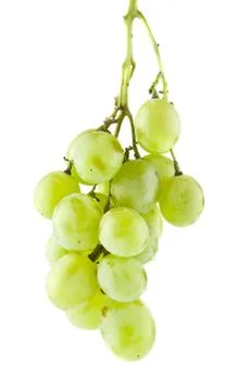 Grapes isolated on white background Stock Photos