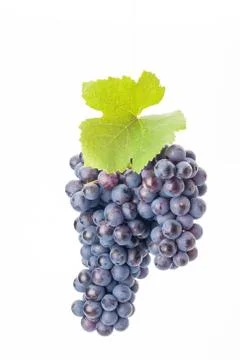 Grapes isolated on white Stock-Fotos