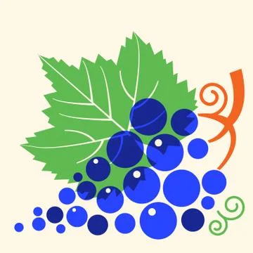 Grapes with leaf .Vector flat style illustration Stock Illustration