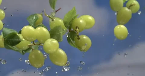 Grapes with leaves and water splashes floating in the air in super slow motion Stock Footage 344848371